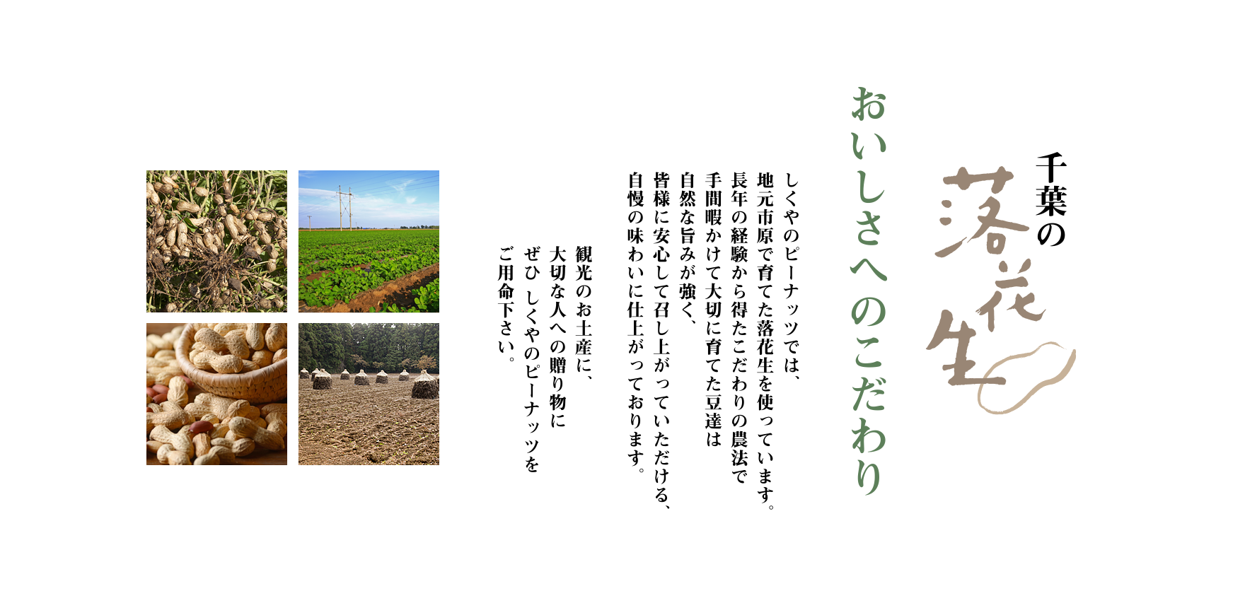 お土産、贈り物に、しくやのピーナッツ