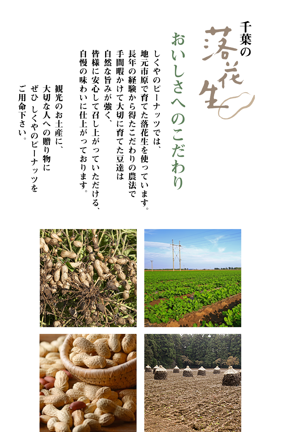 お土産、贈り物に、しくやのピーナッツ